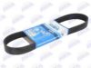 VOLVO 20708127 V-Ribbed Belts